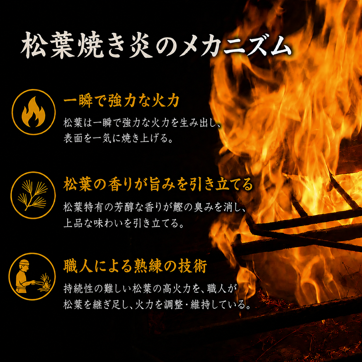 かつおのたたき 松葉焼き かつお 塩たたき 鰹 カツオ 鰹たたき 鰹のたたき かつおたたき 松たたき 650g 人気 高知 本場 燻製 冷凍 ふるさと納税かつお 母の日 父の日 お歳暮 お中元 ギフト プレゼント 高知県 南国市