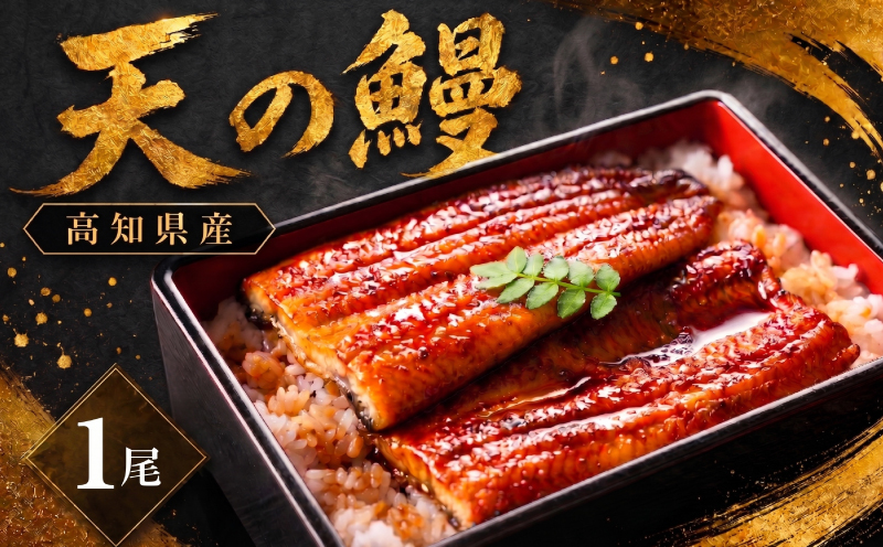 鰻 蒲焼 1尾 セット | 土佐料理司 うなぎ ウナギ 蒲焼き かばやき 丼 おすすめ 丑の日 贈答用 父の日 母の日 内祝い 出産祝い 結婚祝い お祝い 極上 御中元 ギフト用 家庭用 贈り物 極上 真空 人気 三代目天の鰻 高知県 南国市