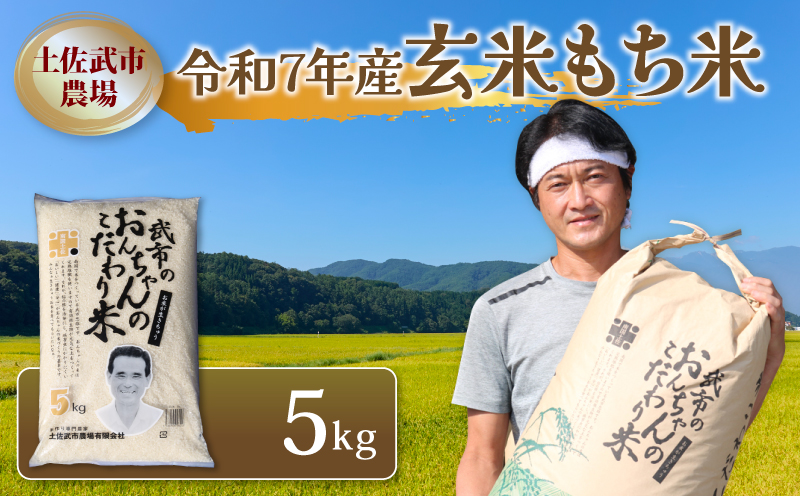 令和7年度 もち米 玄米 5キロ 数量限定 餅米 もちごめ 鏡餅 焼餅 高知県 南国市