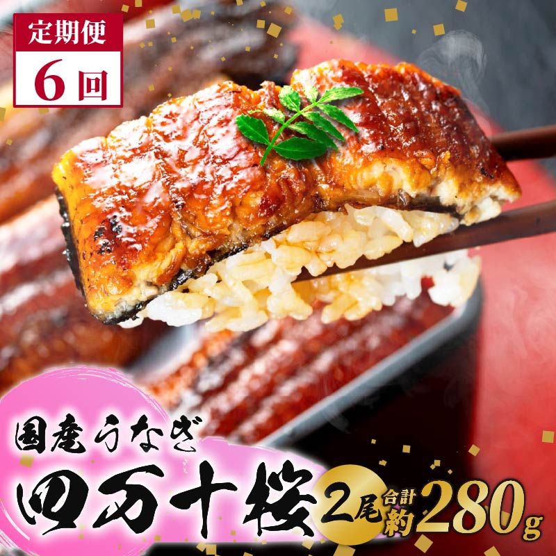 【通常用】【6回定期便】極上国産うなぎ四万十桜 蒲焼き約140g×2尾 | うなぎ 鰻 蒲焼き 定期便 国産 四万十鰻 白焼き 調理済み タレ付き 頒布会 ギフト（お歳暮/お正月）高級 お取り寄せ グルメ 食べ比べ 冷凍