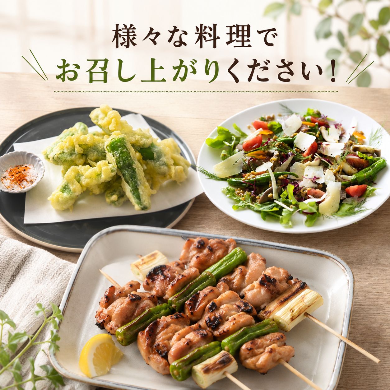 【先行予約】 ししとう 500g 辛くない シシトウ 新鮮 野菜 ししまろ 獅子唐 炒め物 野菜炒め 天ぷら バーベキュー BBQ  高知県 南国市