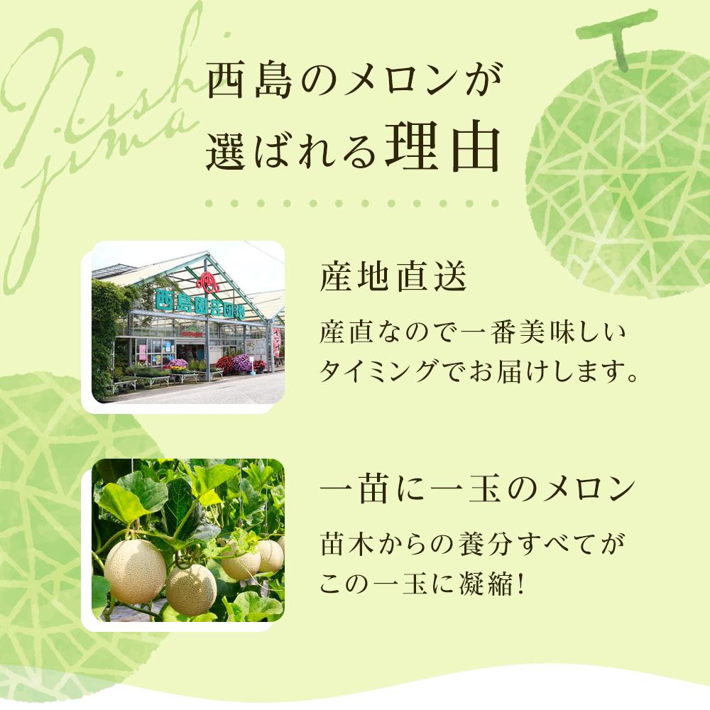 【先行予約】贈答用 メロン 青肉・赤肉 セット 各1個 | 青肉 メロン 赤肉 メロン セット 1個 マスクメロン めろん フルーツ 果物 厳選 高級 人気 デザート ギフト プレゼント 贈り物 くだもの 食べ比べ 旬 お取り寄せ メロン 甘い 高糖度 メロン 産地直送 季節限定 先行予約 西島園芸団地 高知県 南国市