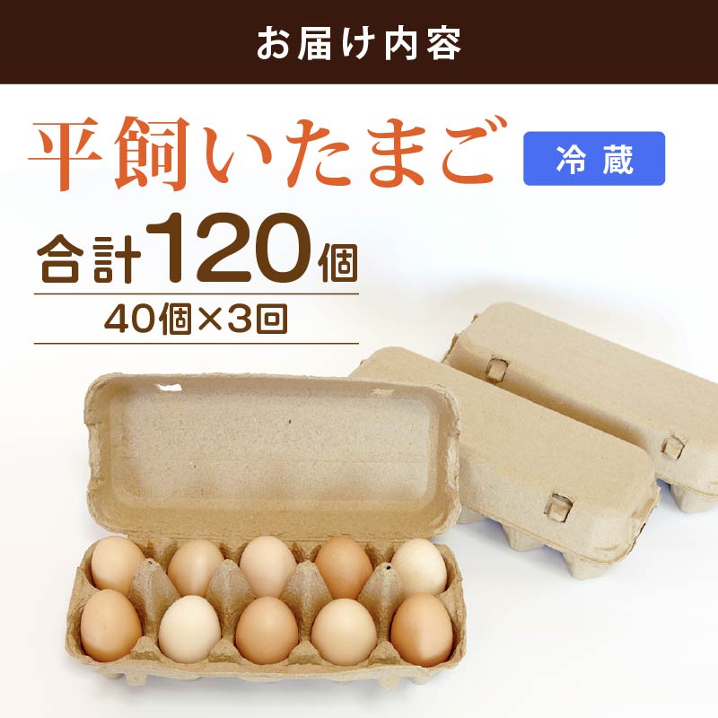 【定期便3回】 平飼い卵 40個入り たまご 卵 タマゴ 鶏卵
