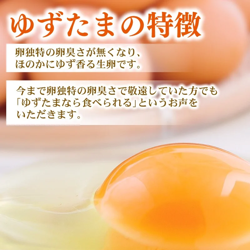 【半年に1回お届け 全2回コース】南国土佐の季節野菜と卵（ゆずたま）の詰め合わせセット | 定期便 セット 詰め合わせ 旬 やさい たまご 卵 柚子 ゆず ゆずたま 農家直送 人気 高知県 南国市