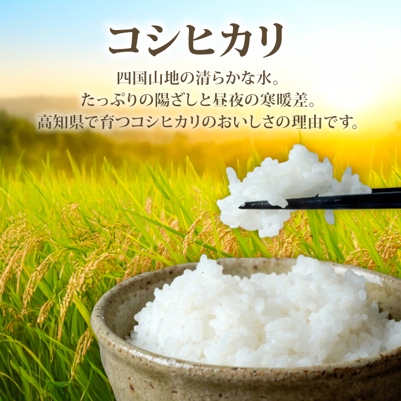 白米 コシヒカリ 5キロ 5kg 数量限定 米 コメ お米 ご飯 おにぎり こめ 令和7年度 農家直送 産地直送 ふるさと納税  高知県 南国市