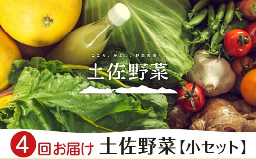 『定期便 全4回』【土佐野菜】旬の野菜の詰め合わせ　小セット【セット 新鮮 野菜 毎月  人気 おすすめ 高知県 南国市】