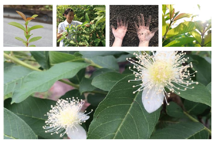 倩ç¶åæ100ïŒ
ã®å€©æµ·ã®ããããªãŒã¬ãã㯠ãã³ãã¯ãªãŒã 30gÃ2æ¬ | åç²§å ã¯ãªãŒã ã¢ãã ä¿æ¹¿ 最ã ãªãŒã¬ãã㯠ã³ã¹ã¡ ã°ã¢ã çŸå®¹ èªå®¶æ œå¹ ã³ãã äººæ° ãããã é«ç¥ç ååœåž