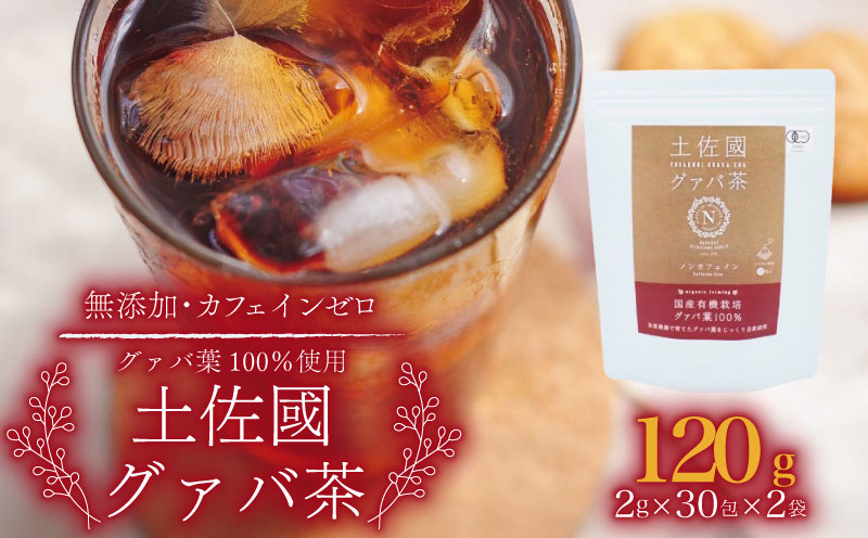 国産有機栽培グァバ葉100％使用 土佐國グァバ茶 2g×60包 | お茶 飲料 健康茶 茶 おちゃ 飲み物 グアバ 葉 国産 漢方 人気 おすすめ 食物繊維 カロテン カリウム ビタミン ビタミンC スーパーフード 疲労回復 美肌 風邪予防 効果 高知県 南国市