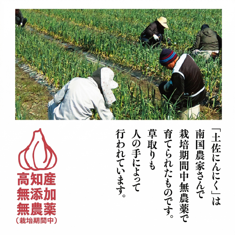 土佐にんにくそろえ にんにく塩 にんにくつぶ セット | ニンニク 簡単調理 万能 調味料 スパイス パウダー ガーリック 国産 天日 塩 人気 粉末 ギフト 贈答用 長期保存  南国市