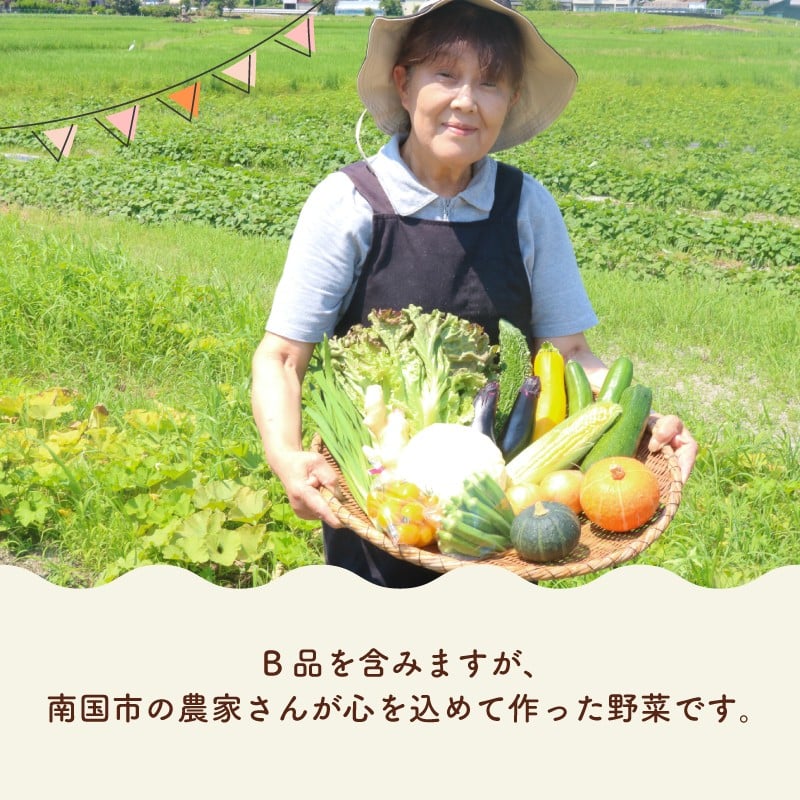 【半年に1回お届け 全2回コース】南国土佐の季節野菜と卵（ゆずたま）の詰め合わせセット | 定期便 セット 詰め合わせ 旬 やさい たまご 卵 柚子 ゆず ゆずたま 農家直送 人気 高知県 南国市