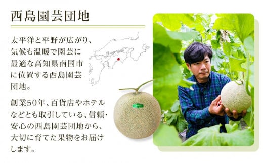 高知県南国市産／贈答用マスクメロン（4個）【メロン フルーツ くだもの デザート 高評価 厳選 高級 ギフト 贈り物 人気 おすすめ】【メロン マスクメロン フルーツ 果物 くだもの 食品 デザート 高評価 厳選 高級 ギフト 贈り物 人気 おすすめ 】