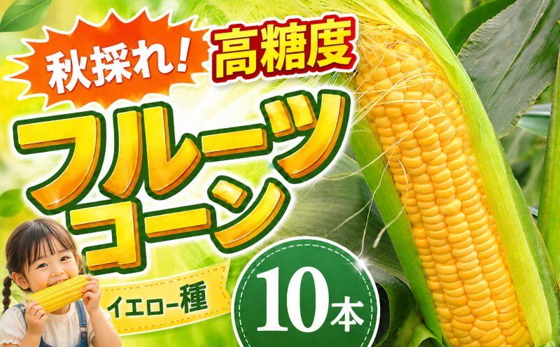 【先行予約】【2026年11月~順次発送】　秋採れ 南国フルーツコーン イエロー種 10本 | ゴールドラッシュ とうもろこし トウモロコシ コーン スイートコーン もぎたて 新鮮 朝採れ 朝どり 夏野菜 旬 期間限定 数量限定 産地直送 農家直送 フルーツのような甘さ 甘い 激甘 皮付き 家庭用 BBQ バーベキュー キャンプ アウトドア 農園けんぴ 高知県 南国市