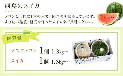 é«ç¥çååœåžç£ïŒã¡ãã³ã»ã¹ã€ã«ã»ããããã«ãŒã ãã ãã® ãã¶ãŒã è©°ãåãã ã»ãã é«è©äŸ¡ å³éž ã®ãã èŽãç© äººæ° ãããããããã«ãŒã ãã ãã® ãã¶ãŒã è©°ãåãã ã»ãã é«è©äŸ¡ å³éž ã®ãã èŽãç© äººæ° ãããã ã