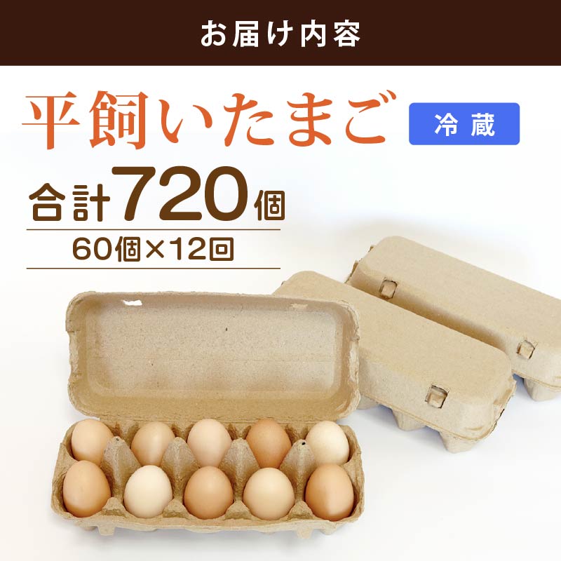 【定期便12回】 平飼い卵 60個入り たまご 卵 タマゴ 鶏卵