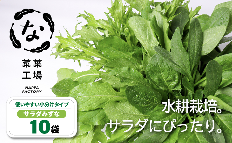 葉野菜 サラダ みずな | ほうれんそう ホウレンソウ 水菜 ミズナ 生食 野菜 セット 新鮮 健康 人気 おすすめ 高知県 南国市