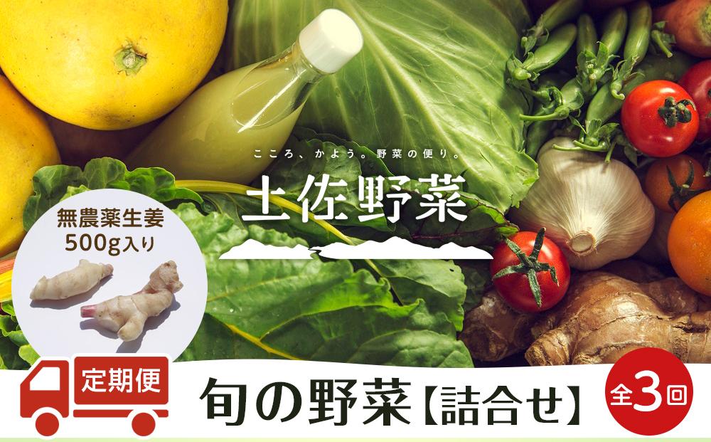 『定期便 全3回』無農薬生姜200gと旬の野菜の詰め合わせ【土佐野菜】