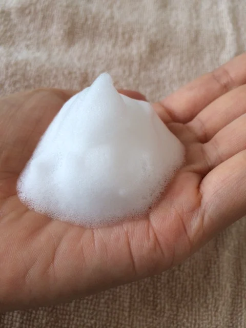 天然原料100％の天海のしずくオーガニック ホイップソープ 150ml×2本 | 泡 洗顔 ホイップ ソープ オーガニック コスメ グアバ 美容 自家栽培 びよう 人気 おすすめ 高知県 南国市