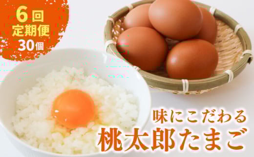 【6回定期便】タマゴ好きにはたまらない 桃太郎たまご 6個入り×5セット | 定期便 毎月 たまご 卵 鶏卵 たまごかけごはん たまごかけ TKG ブランド おいしい 高級 人気 おすすめ 高知県 南国市