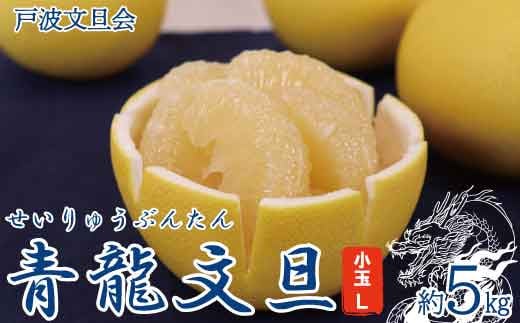 《戸波文旦会》 青龍文旦（せいりゅうぶんたん）約5kg（小玉Lサイズ）【土佐グルメ市場厳選】高知産 柑橘 フルーツ 文旦 ぶんたん ブンタン 果物 お取り寄せ おいしい 美味しい 故郷納税 ふるさとのうぜい 返礼品 高知県 高知 土佐