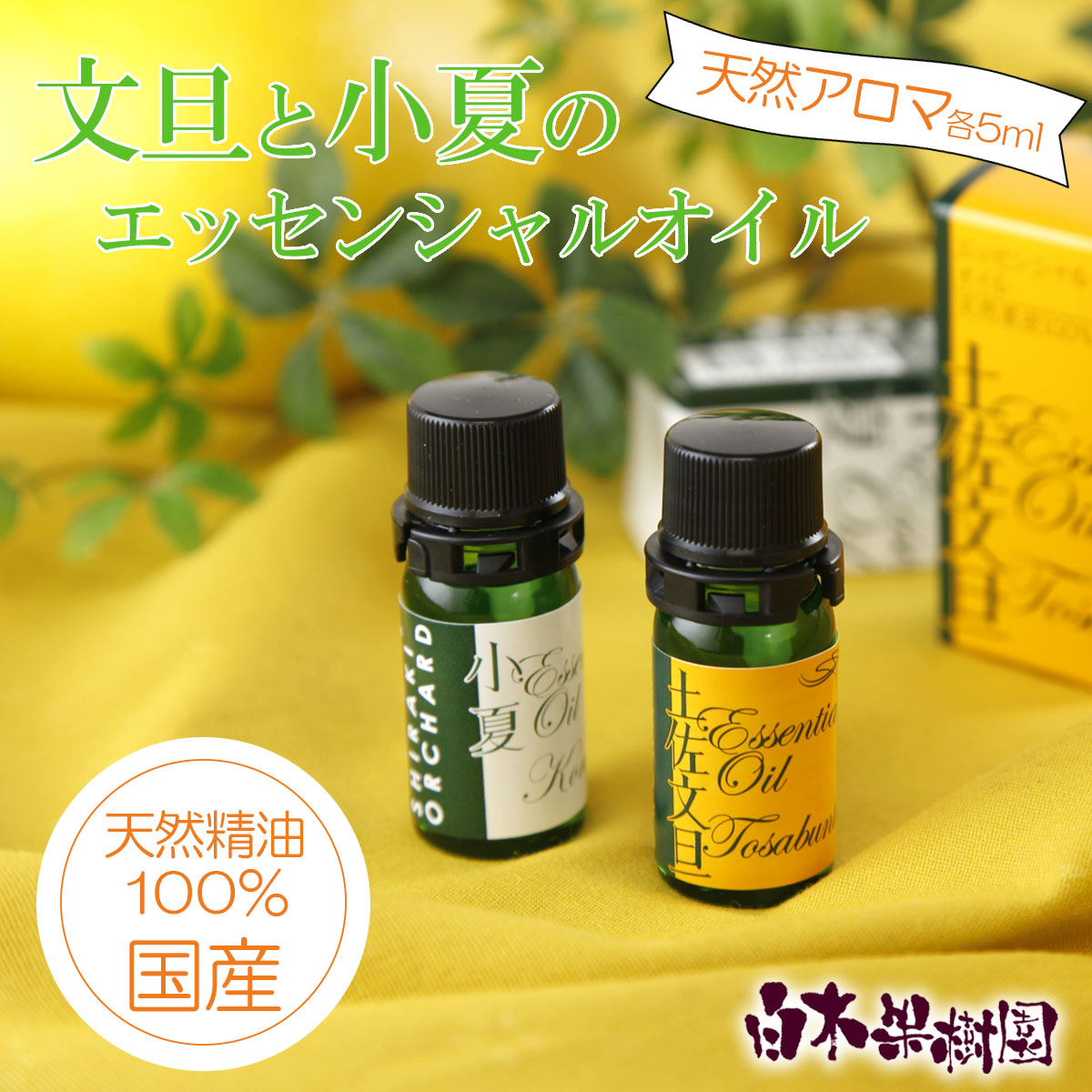 文旦・小夏エッセンシャルオイル(アロマオイル)セット(100%天然植物精油)5ml×2本[白木果樹園] [BQAI053]