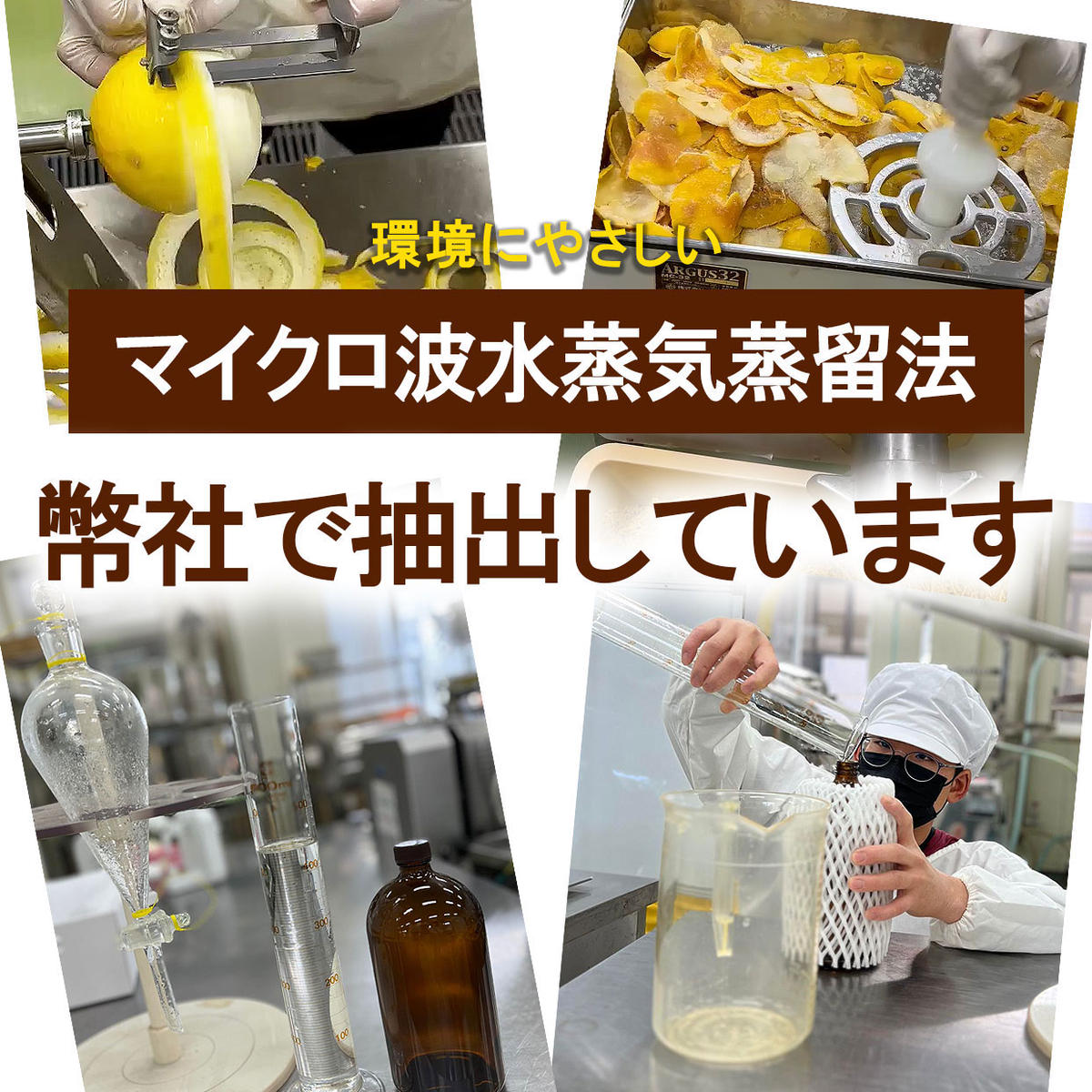 文旦・小夏エッセンシャルオイル（アロマオイル）セット（１００％天然植物精油）5ml×2本【白木果樹園】 [BQAI053]