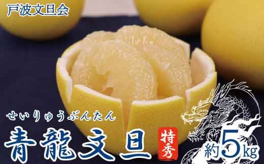 《戸波文旦会》 青龍文旦（せいりゅうぶんたん） 特秀 約5kg（2L～4L混合サイズ）【土佐グルメ市場厳選】高知産 みかん 柑橘 フルーツ 文旦 ぶんたん ブンタン 果物 お取り寄せ おいしい 故郷納税 ふるさとのうぜい 返礼品 高知県 高知 土佐市