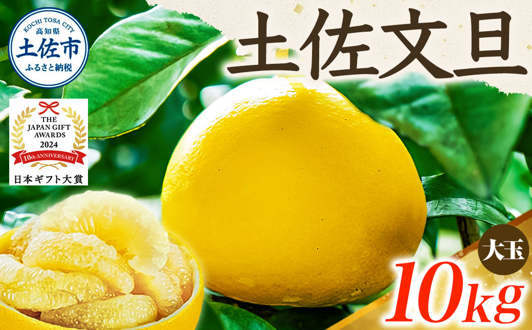 【日本ギフト大賞2024受賞】【先行予約】文旦 大玉10kg（3L～2L）2026年1月下旬より順次発送