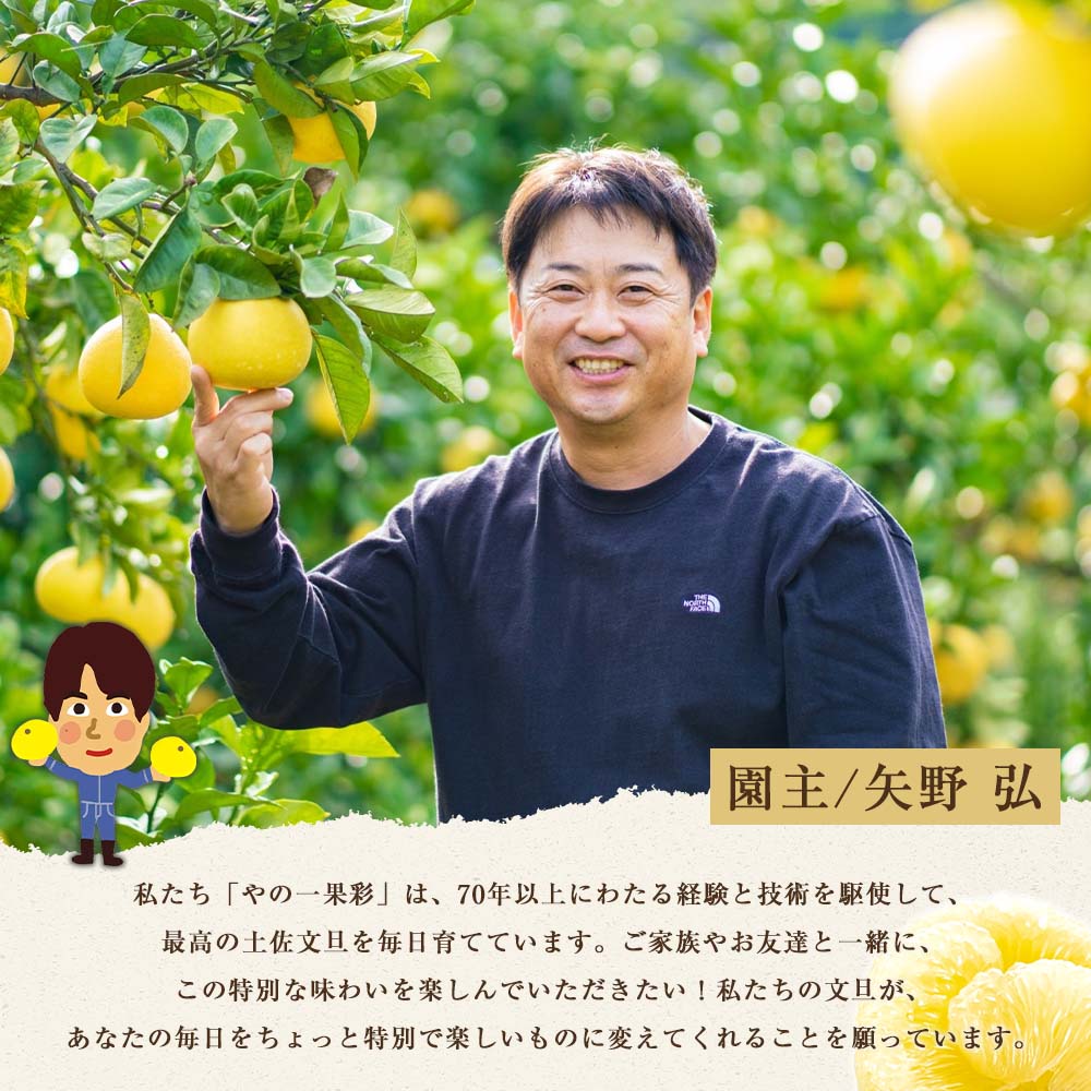 【日本ギフト大賞2024受賞】【先行予約】文旦 大玉5kg（3L～2L）2026年1月下旬より順次発送