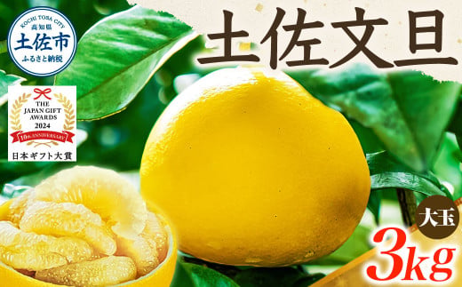 【日本ギフト大賞2024受賞】【先行予約】文旦 大玉3kg（3L～2L）2026年1月下旬より順次発送
