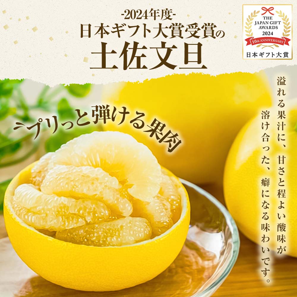 【日本ギフト大賞2024受賞】【先行予約】文旦 大玉3kg（3L～2L）2026年1月下旬より順次発送