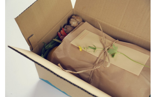 『定期便全6回』栽培期間中に農薬不使用の生姜200gと旬の野菜詰め合わせ10～13品目