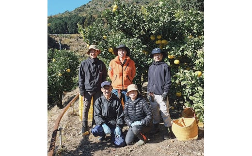 ☆至高の柑橘　高知産土佐文旦☆L 24玉入【家庭用】ぶんたん ブンタン 果物 柑橘 フルーツ お取り寄せ おいしい 美味しい 故郷納税 ふるさとのうぜい 返礼品 高知県 高知