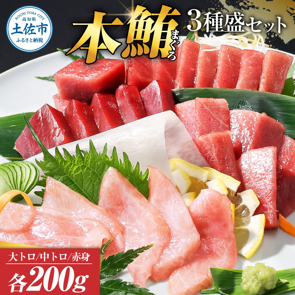 本鮪　大トロ・中トロ・赤身　各200g