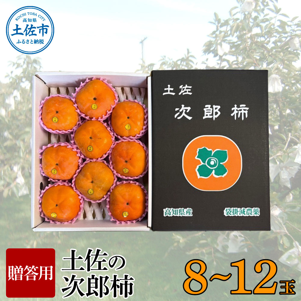 秋の味覚！土佐の次郎柿　甘味抜群【贈答用】※10月より順次発送 かき カキ 甘い 美味しい おいしい 果物 フルーツ 常温 ギフト 贈り物 故郷納税 ふるさとのうぜい 返礼品 高知県 高知 故郷納税 ふるさとのうぜい 返礼品 高知県 高知