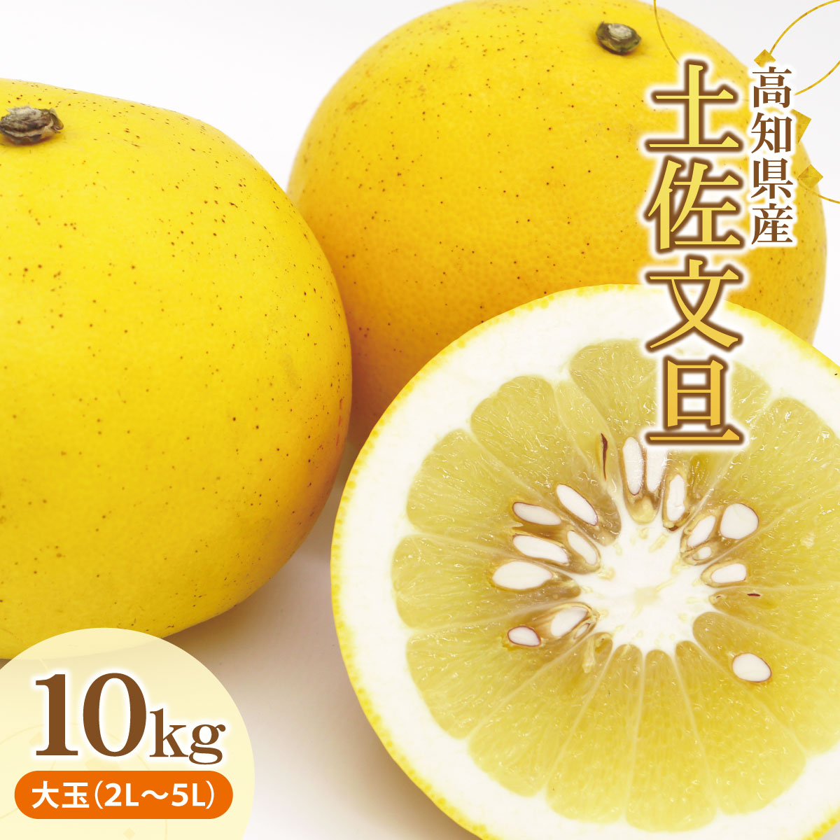 土佐文旦（ぶんたん）（大玉：２Ｌ～５Ｌ混合）約１０ｋｇ 約14～21玉