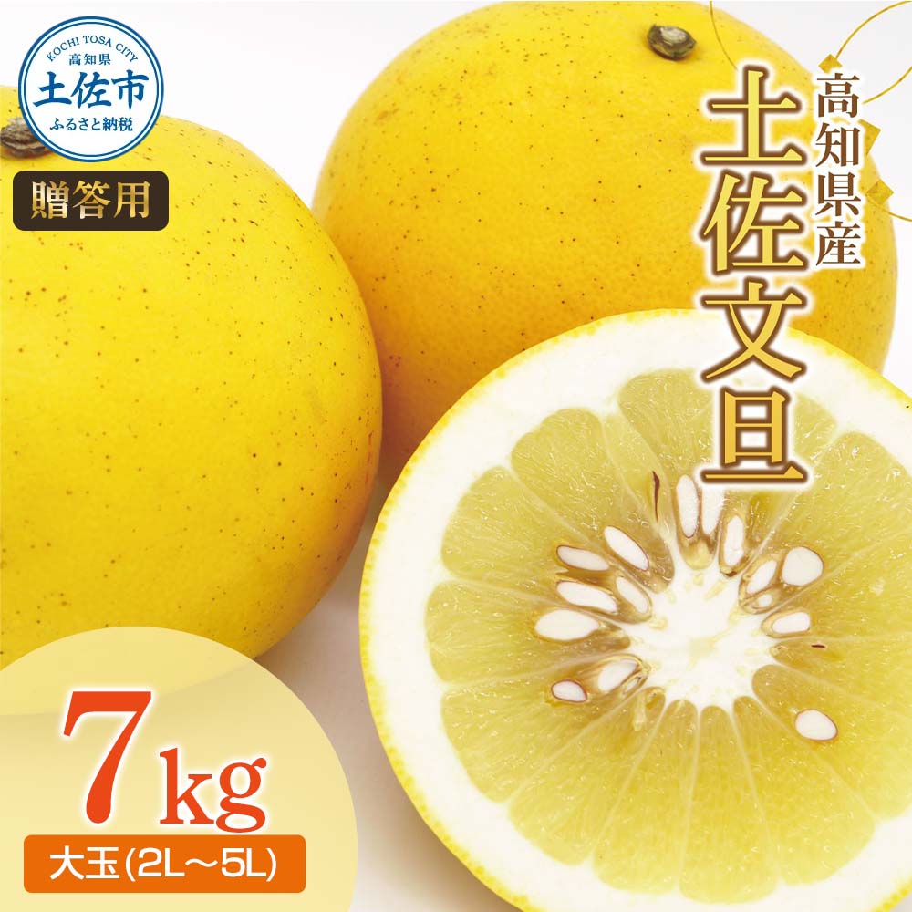 土佐文旦（ぶんたん）（大玉：２Ｌ～５Ｌ混合）約７ｋｇ  約10～15玉