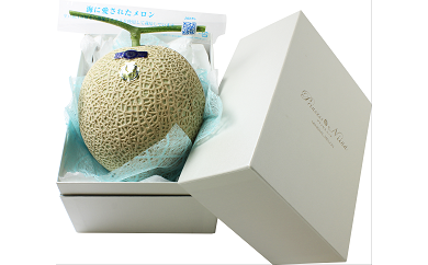 【先行予約】プリンセスニーナ　土佐市産メロン