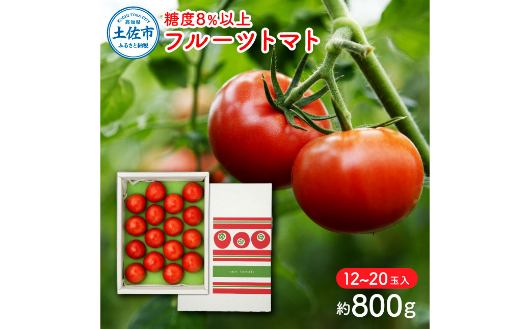 フルーツトマト（約800グラム） 12～20玉入り 糖度8度以上