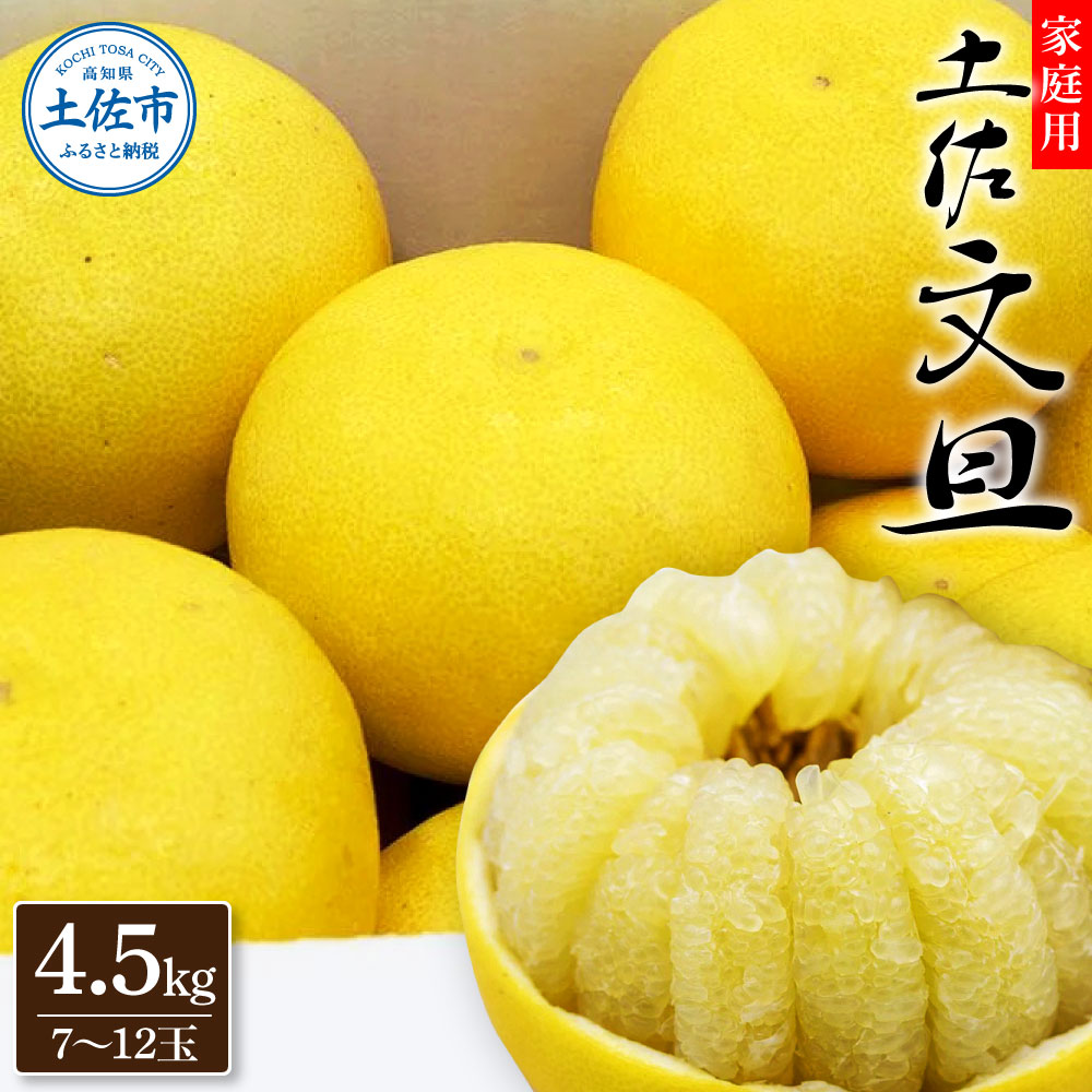 【先行予約】生産者直送 土佐文旦 約4.5kg [サイズおまかせ 2L～4L] 家庭用＜2027年1月下旬より発送＞  家庭用 文旦 柑橘 みかん フルーツ 果物 産地直送 お取り寄せ【土佐文旦産直協同組合】