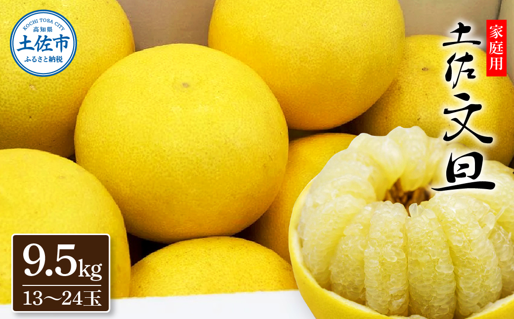 生産者直送　土佐文旦9.5kg[2L～4L]