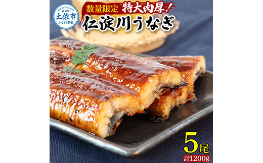 【数量限定！】仁淀川特大肉厚うなぎ5尾セット