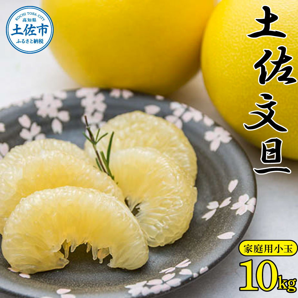 【先行予約】高知県産 土佐文旦 家庭用 小玉サイズ 約10kg 23～26玉入 〈2027年2月〜発送〉 ぶんたん ブンタン 果物 柑橘 フルーツ お取り寄せ おいしい 美味しい 高知県 土佐市【株式会社種田農園】 [BQBW003]