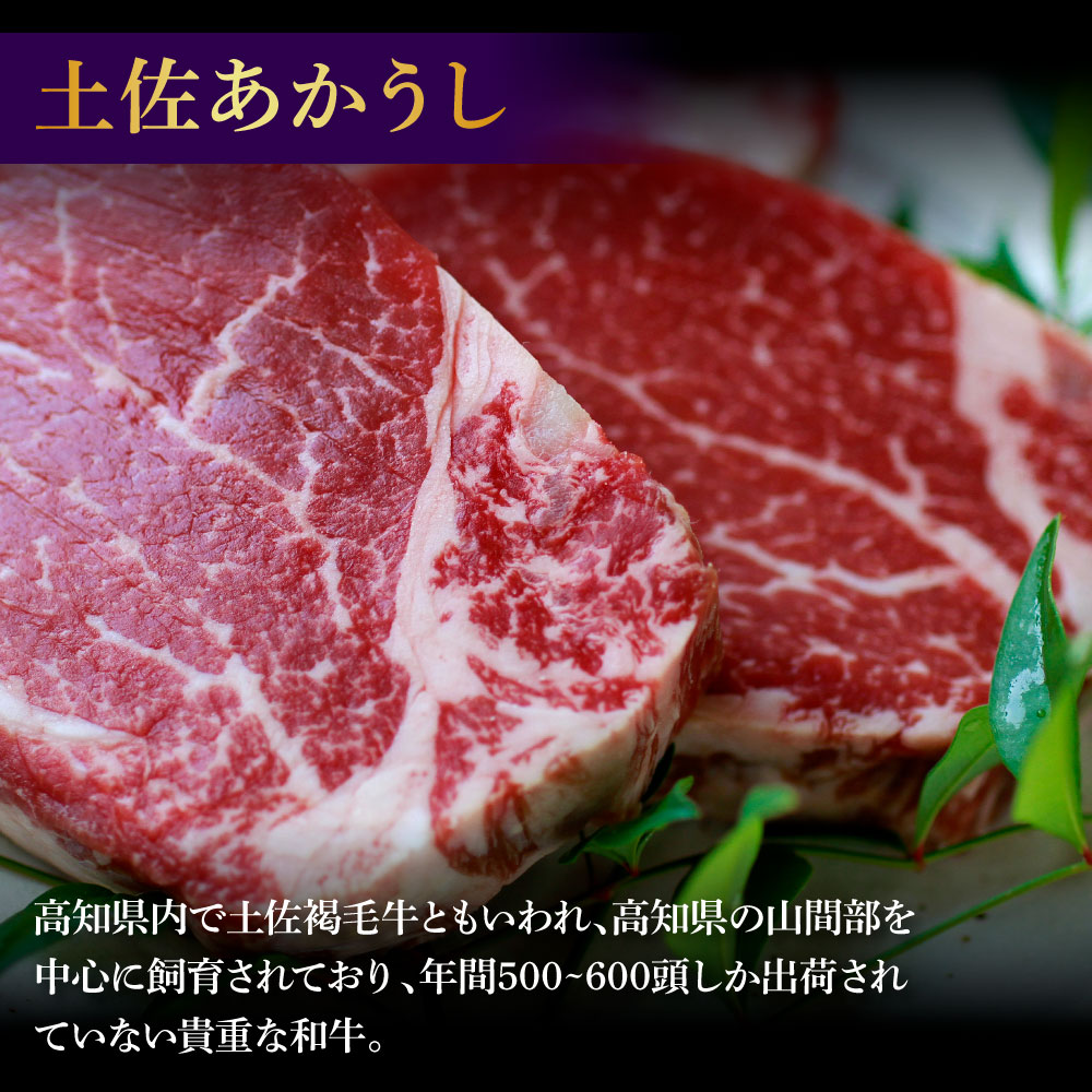 土佐和牛特選ヒレ肉200ｇ 特製ソース２種類付【ステーキ用】国産 和牛 土佐あかうし お肉 肉 ステーキ 赤身 ヒレ フィレ 故郷納税 ふるさとのうぜい 返礼品 高知県 高知