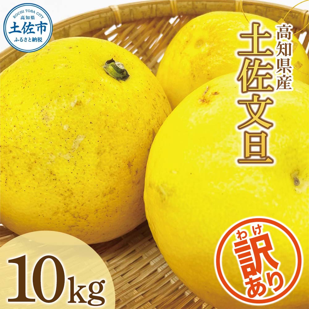 【訳あり】土佐文旦（ぶんたん）家庭用（M～５Ｌ）約１０ｋｇ  約10～30玉