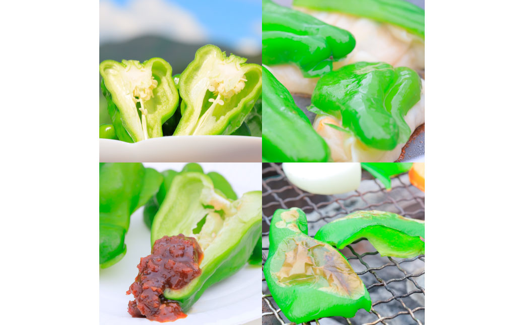 高知県産 植田ファームのこだわりピーマン 3kg 