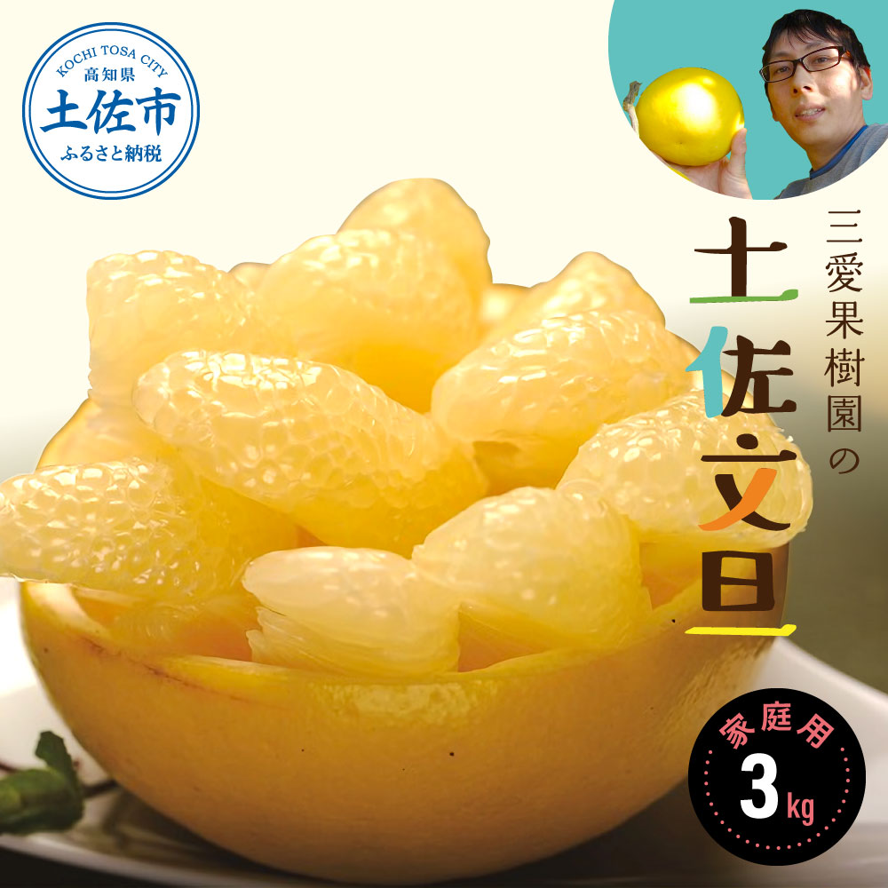 三愛果樹園の土佐文旦 家庭用約3kg 2月～3月発送