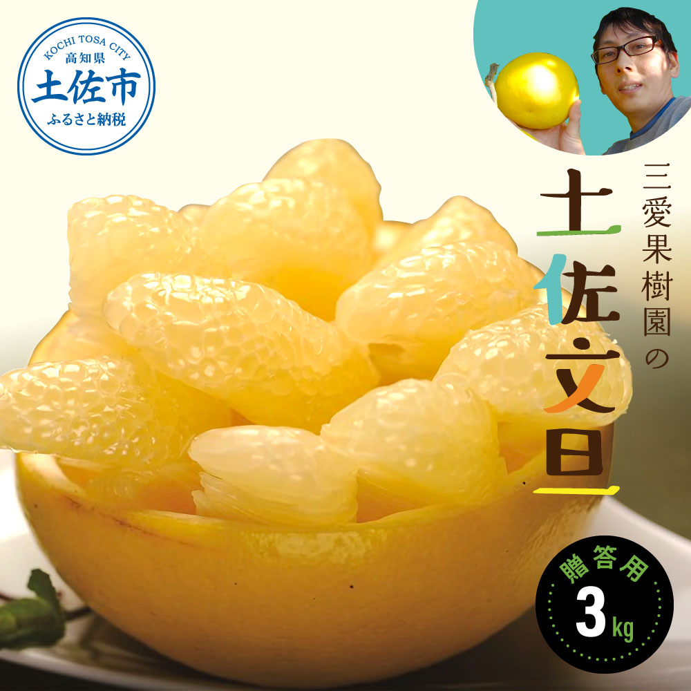 【先行予約】三愛果樹園の土佐文旦　贈答用　約3kg / 土佐文旦 みかん 柑橘 ぶんたん ブンタン 果物 フルーツ 〈2027年2月上旬から順次発送〉【三愛果樹園】