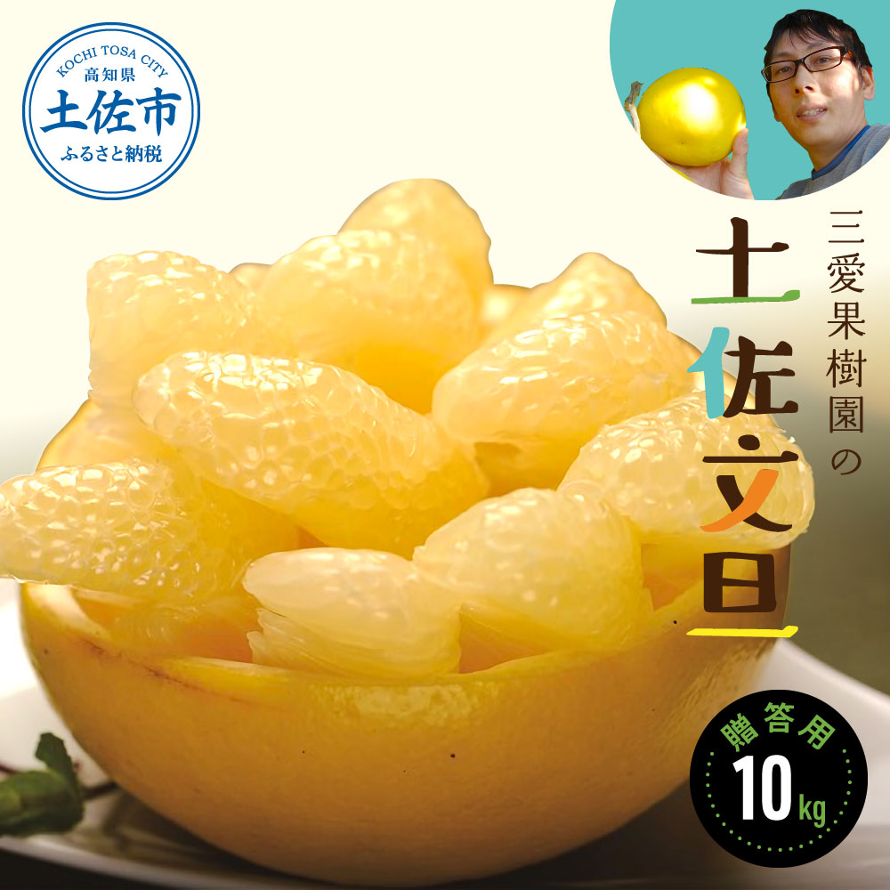 【先行予約】三愛果樹園の土佐文旦　贈答用　約10kg / 土佐文旦 みかん 柑橘 ぶんたん ブンタン 果物 フルーツ 〈2027年2月上旬から順次発送〉【三愛果樹園】
