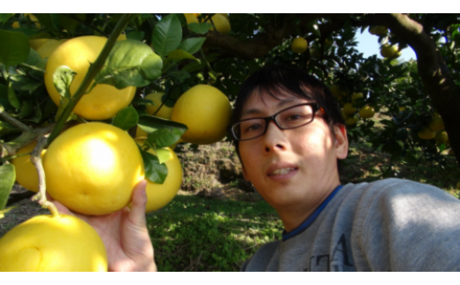 【先行予約】三愛果樹園の土佐文旦　贈答用　約10kg / 土佐文旦 みかん 柑橘 ぶんたん ブンタン 果物 フルーツ 〈2027年2月上旬から順次発送〉【三愛果樹園】