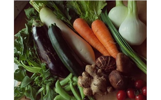 【土佐野菜】旬の野菜の詰め合わせと栽培期間中に農薬不使用の生姜100g付き